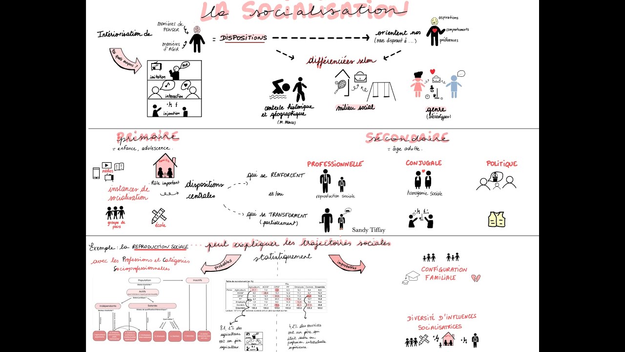 La socialisation - Première SES
