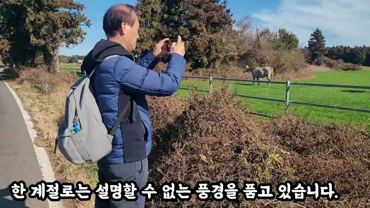 🌿 [여행 힐링] 건강한 일상 | 자연 속 목동 감성 | #탈쏭 #힐링영상 #건강걷기 #제주도 #자연산책 #일상브이로그  #성이시돌목장#평화로운#말들과 함께