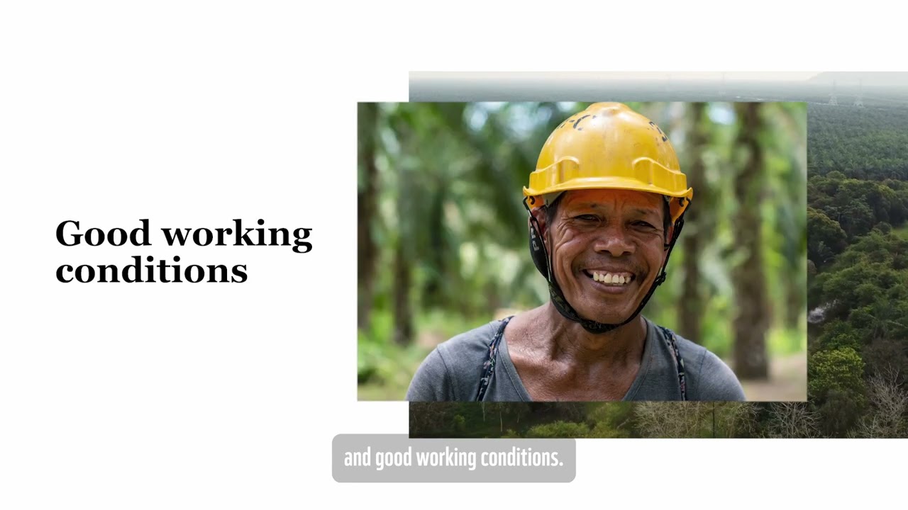How does sustainable palm oil transform lives and communities?