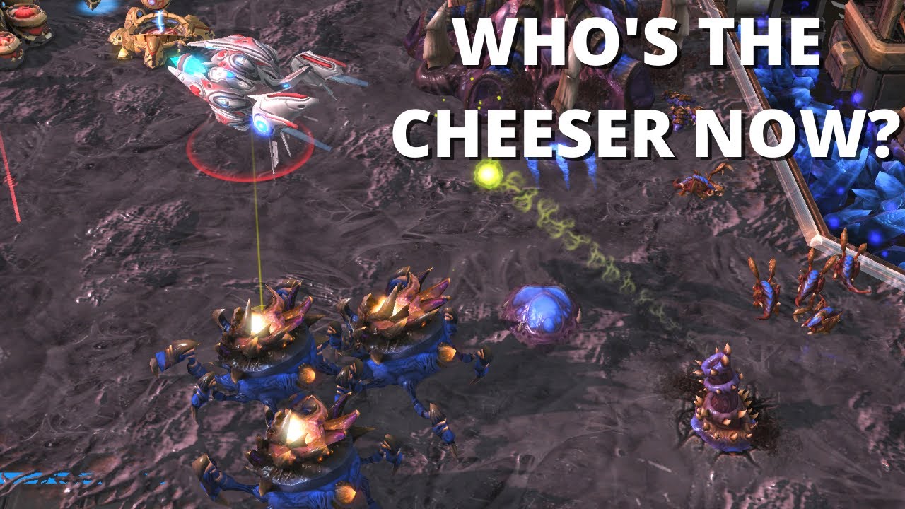 I Destroyed This Skytoss Cheeser With A Creative Proxy Hatch