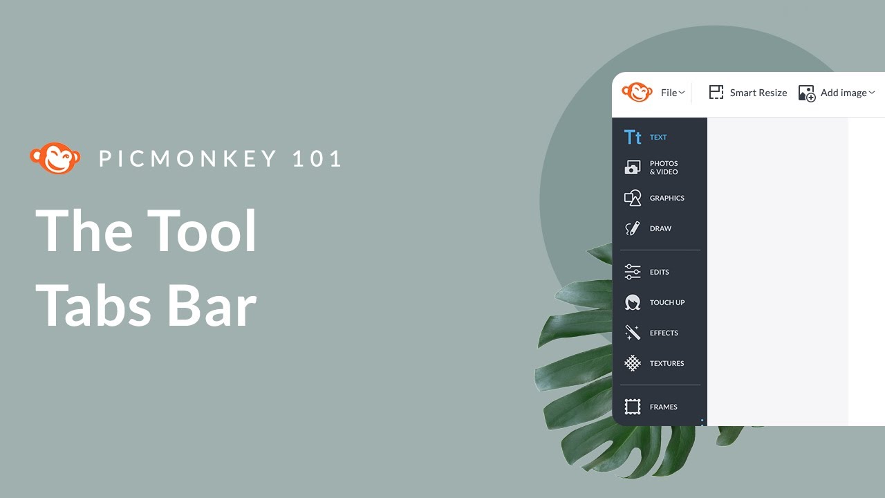 PicMonkey 101 | The Tool Tabs Bar