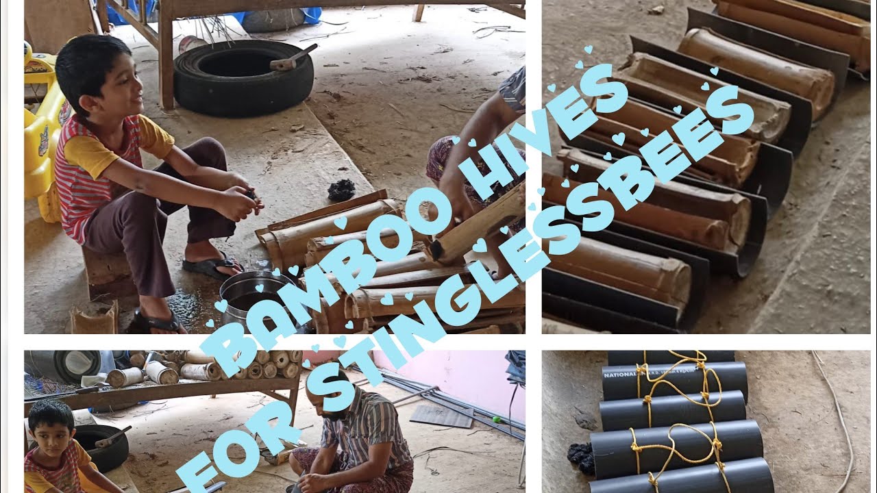 How to Make bamboo hives for the stingless bees