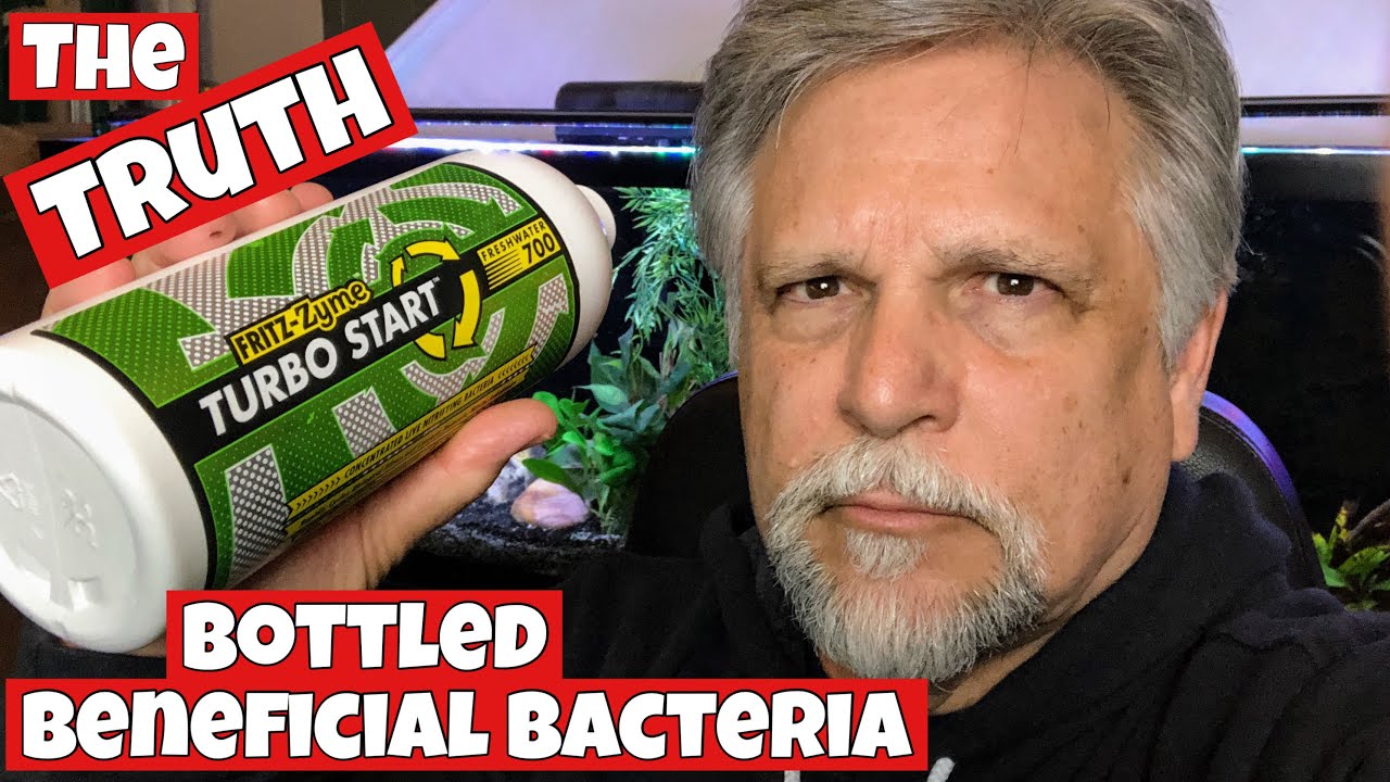 INSTANTLY ADD FISH to a NEW TANK using FRITZ BOTTLED BACTERIA?  [TRUE or FALSE?]  FRITZ RESPONDS!