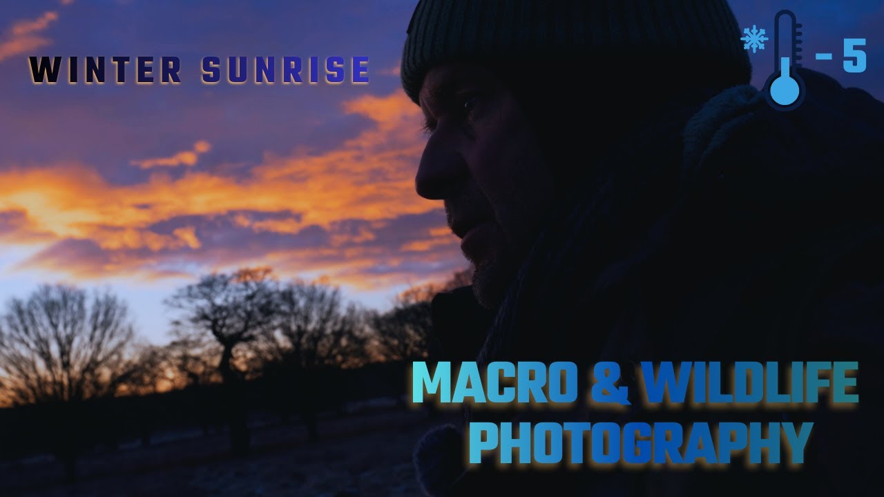 Relaxing Winter Sunrise Walk - Macro & Wildlife Photography