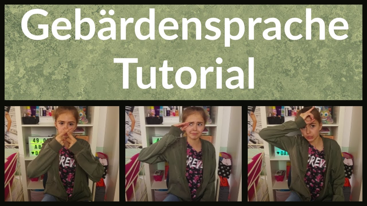 Gebärdensprache Tutorial - Fragewörter, Mengen, Länder, Städte, Landschaft, Wassertiere