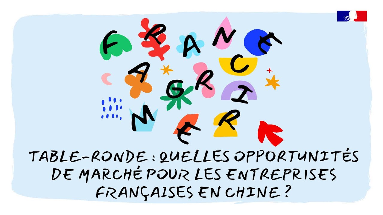 TABLE-RONDE : QUELLES OPPORTUNITÉS DE MARCHÉ POUR LES ENTREPRISES FRANÇAISES EN CHINE ?