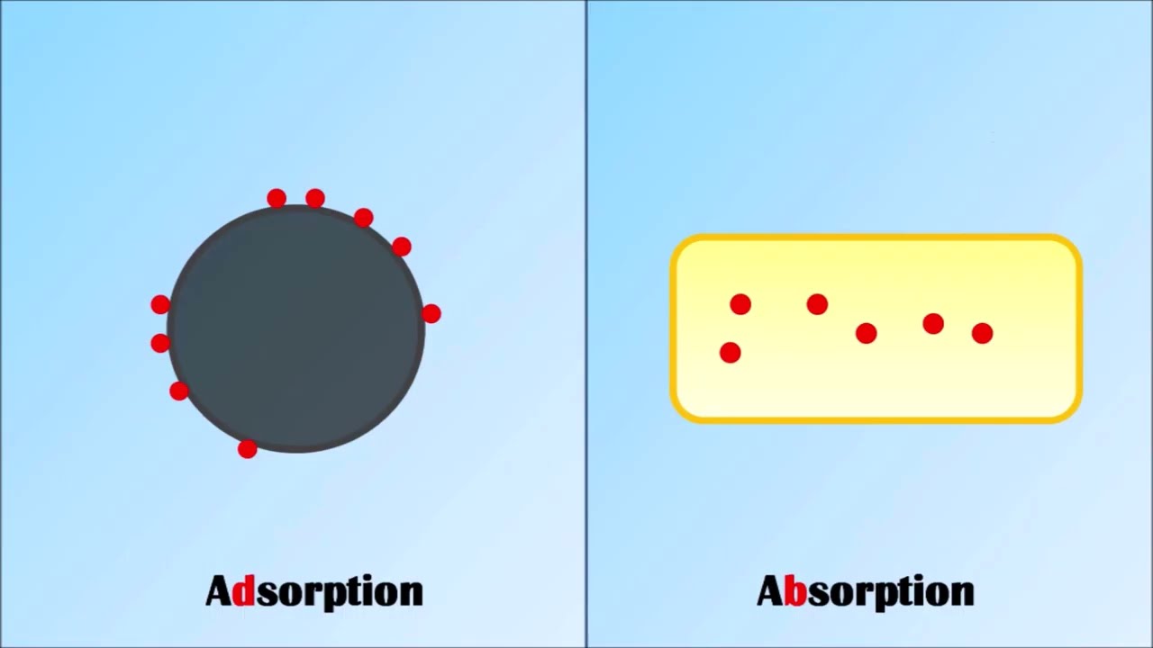 Difference Between Adsorption and Absorption | Absorption Vs Adsorption | Adsorption | Absorption