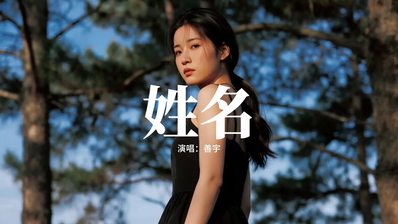 善宇 - 姓名『雨聲在重播你模糊的姓和名，像是放映著我們愛過的曾經，風席捲了那年秋天 拉過勾的約定，留下了滿地的落葉 等不到你的迴音。』【動態歌詞MV】
