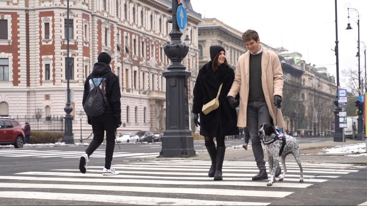 Julius-K9 IDC&reg; Powerharness: Perfect for Urban Winter Walks