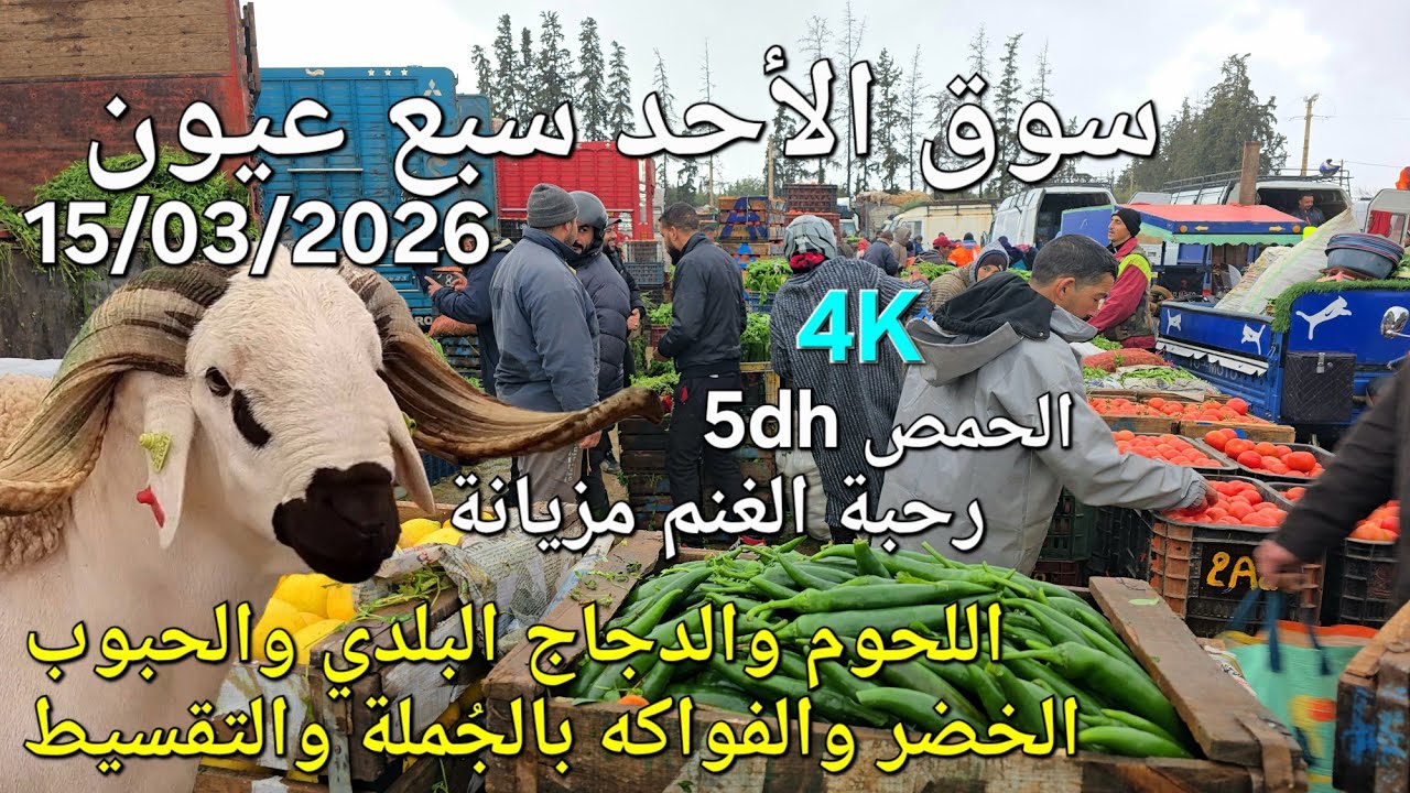 أثمنة الغنم والدجاج واللحوم والخضر سوق الأحد سبع عيون واد اجديدة اليوم 15/03/2026