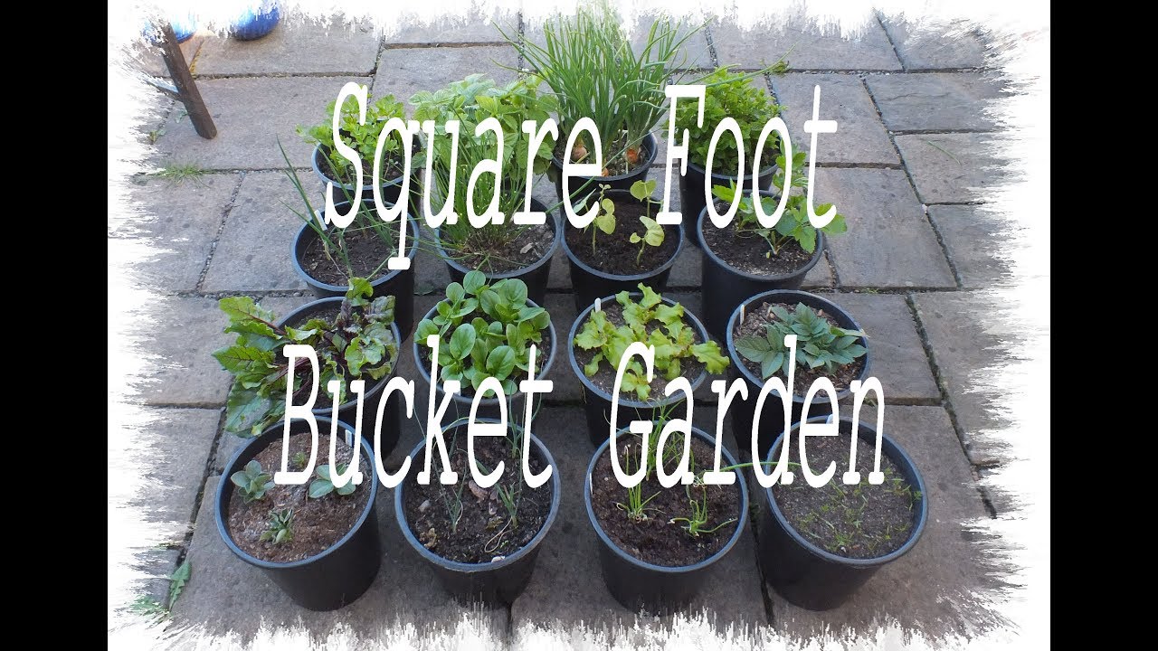 Square Foot Gardening, Grow Vegetables, The Next Generation  Start to Finish