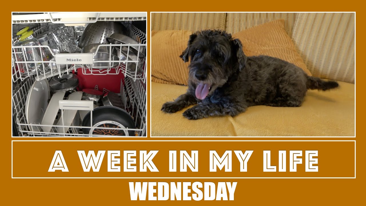 A Week In My Life Wednesday - Singing to My Washing Machine & Chit Chat