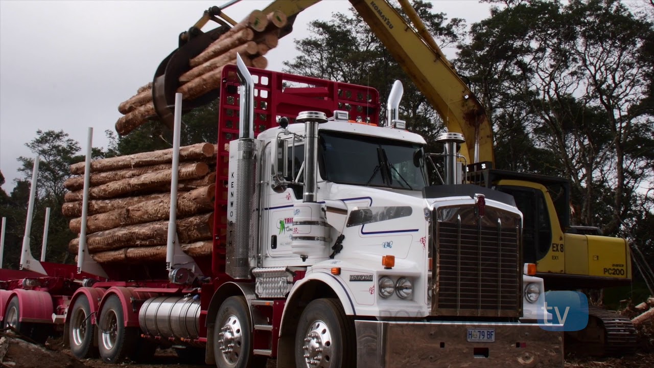 Extreme Truckers go logging in a Kenworth T659 8x4