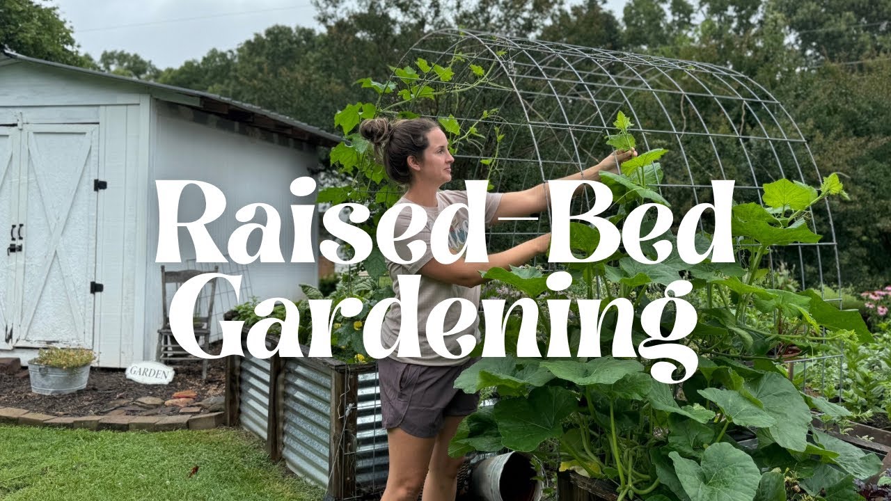Raised-Bed Gardening: Garden Tour