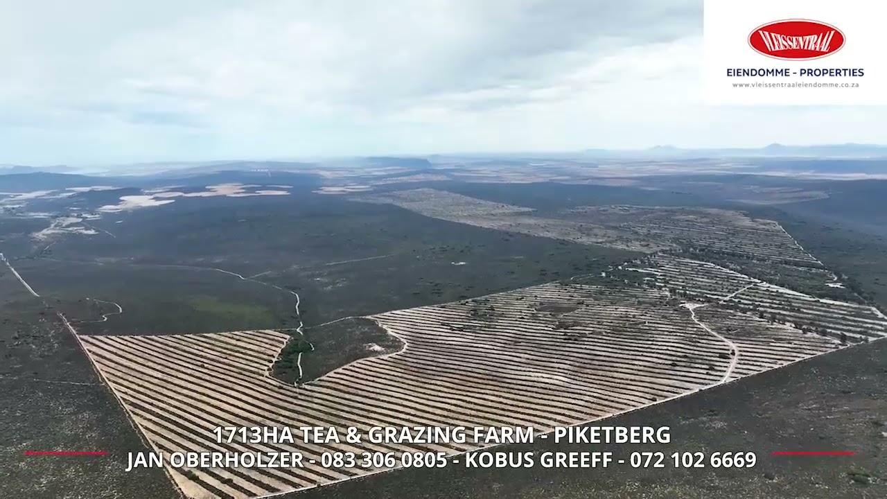 1713ha Tea & Grazing Farm - Piketberg