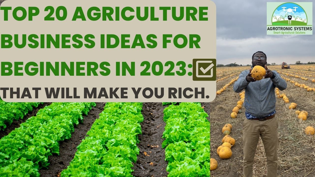 Top 20 agriculture business ideas for beginners in 2023: That will make you rich.