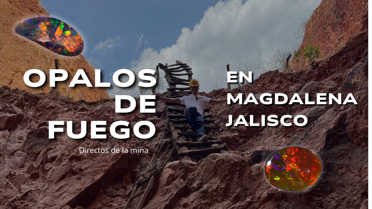 Encontré ópalos de fuego directos de la mina en Magdalena, Jalisco.