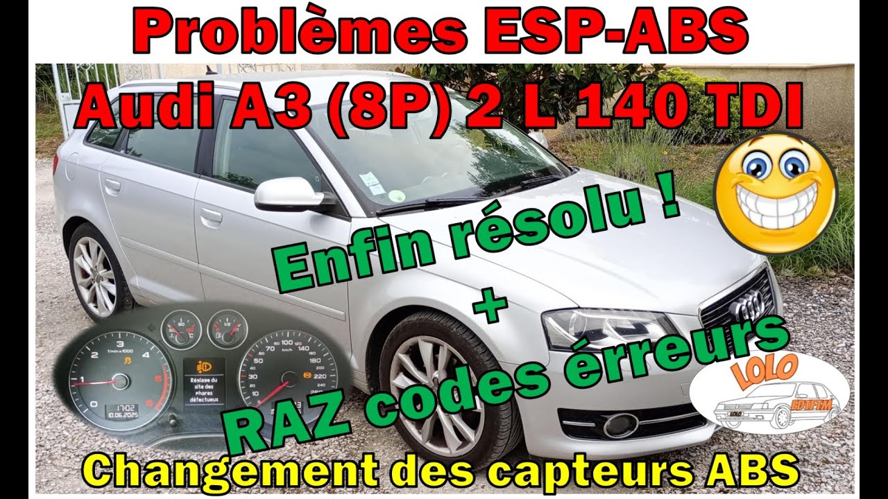 Audi A3 (8P) 2L 140 TDI 