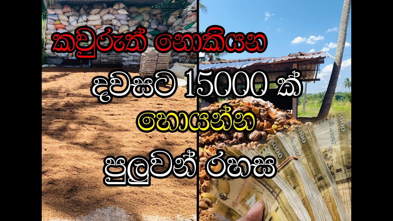 දවසට රු 15000ක් හොයන රහස නොමිලේම.top secret #ideas ##business #businessnews #topnews #topproducts