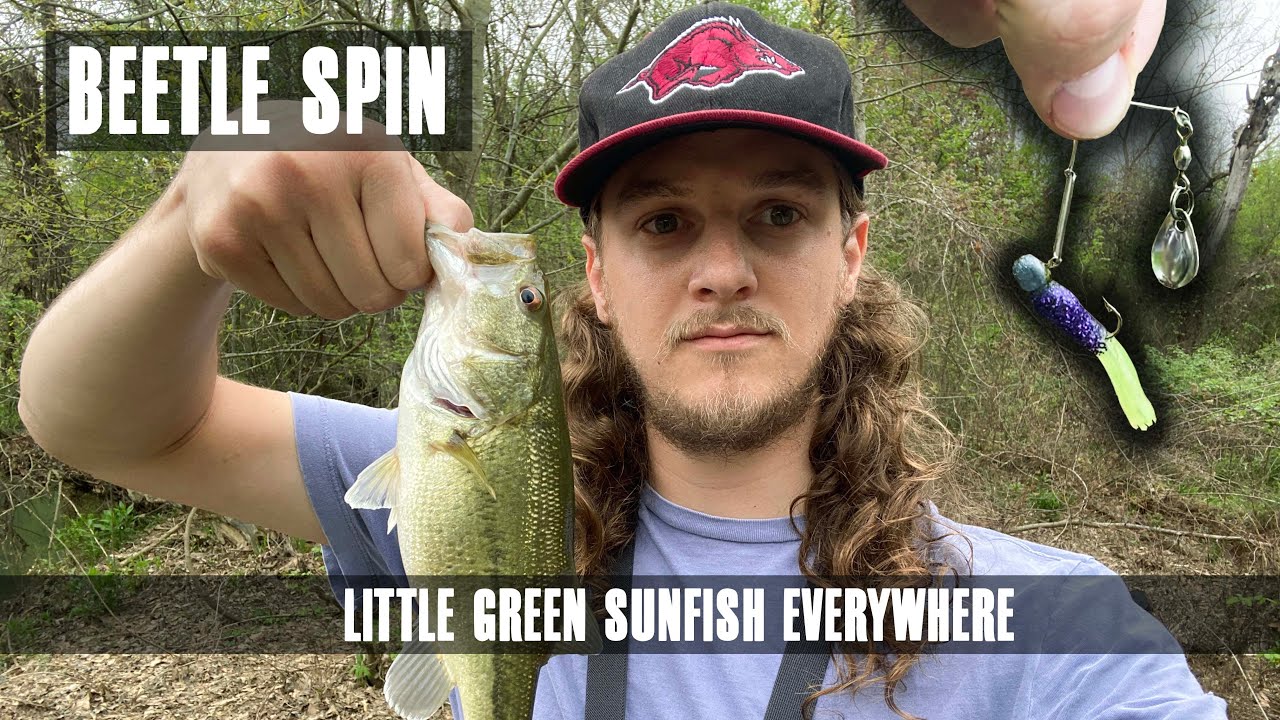 Creek Fishing with small Beetle Spins [ B'n'M 410 Ultralight/Medium ]