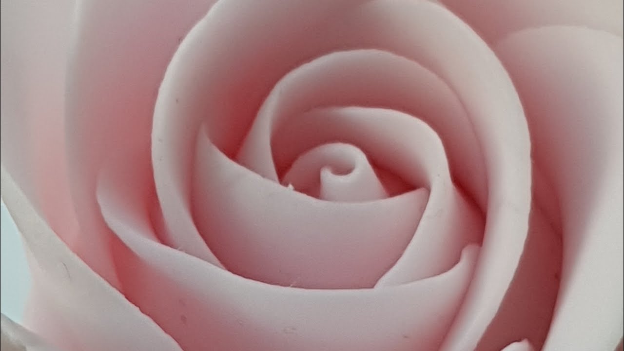 How To Make A Quick & Easy Fondant Gumpaste Sugar Flower Rose Bud  #sugarrosetutorial #trending2020