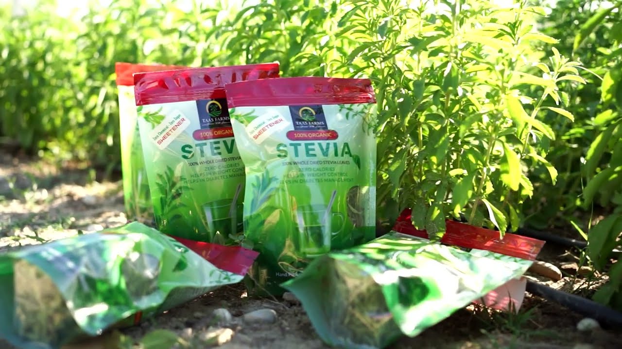 Organic Stevia Whole Dried Leaves I Taas Farms