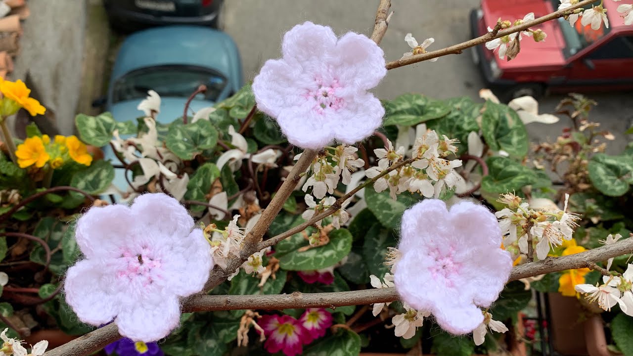 Flori de cireș japonez croșetate #mmihacrochet