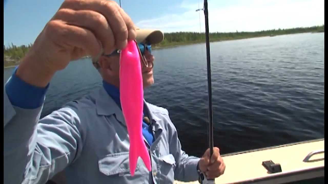 2012 WLL Hunt for Big Fish