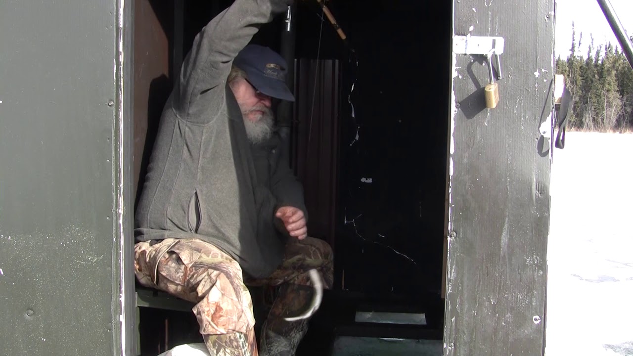 Ice Fishing Trout and Char in Interior Alaska