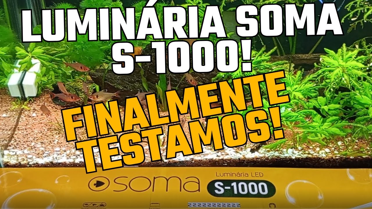 LUMINARIA SOMA S-1000 no AQUÁRIO DE 200 LITROS!