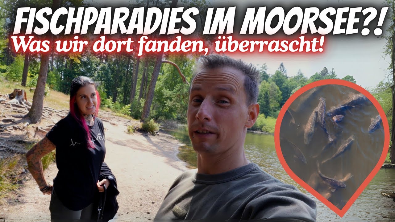 Traumhafter Moorsee voller Fische! – doch der Schein trübt…