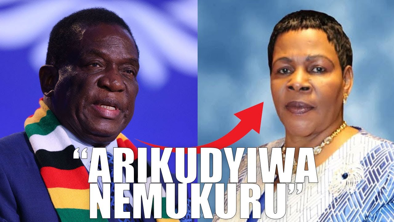 Mabel Chinomona Sexual Relationship With President Mnangawa Exposed By @KerinaMujati