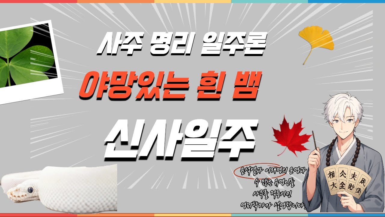 사주 공부에 도움이 될 일주론 신사일주에 대한 전반적인 설명