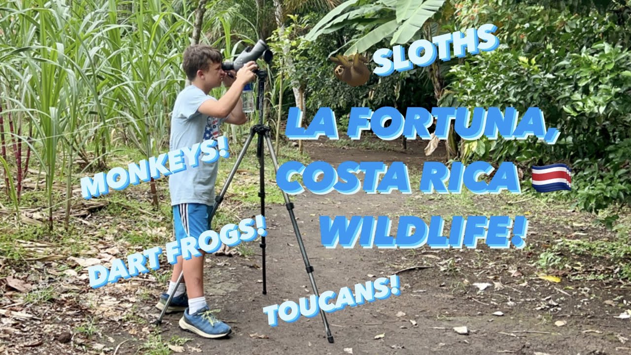 Bogarin Trail & Mistico Hanging Bridges, La Fortuna, Costa Rica