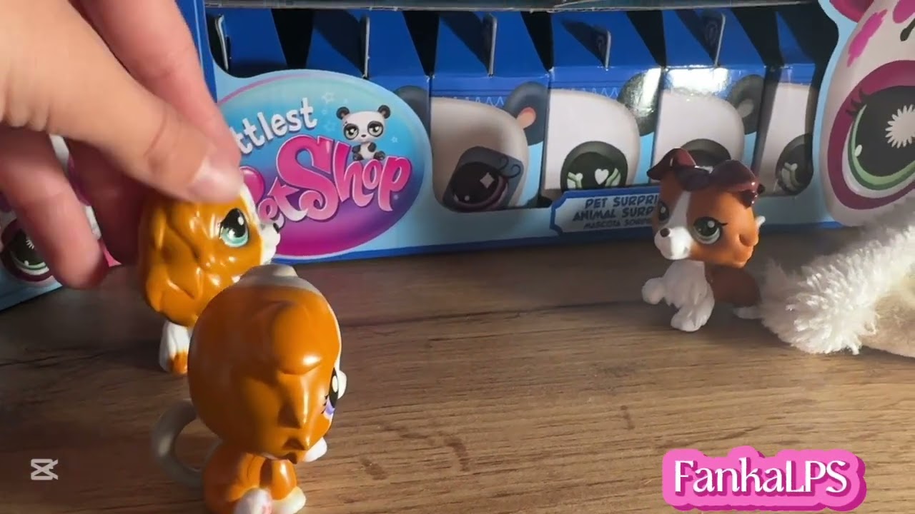 Duncan i Stella  Nowa miłość w szkole? | Pet Shop Story Odc 1