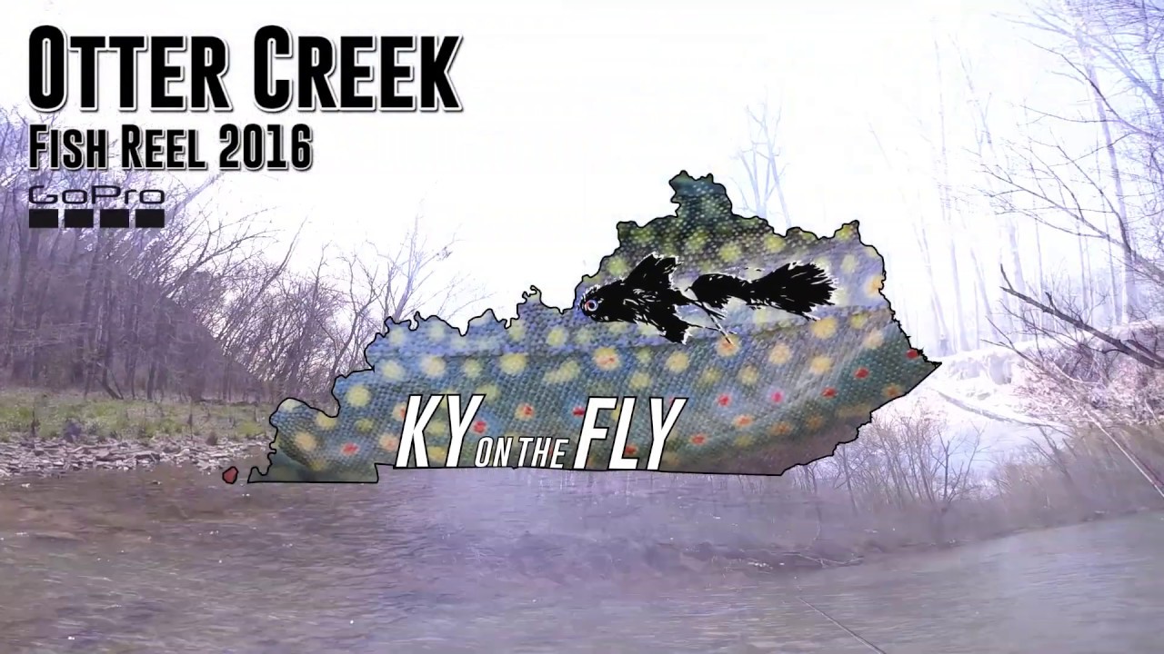 Fly Fishing Otter Creek #1