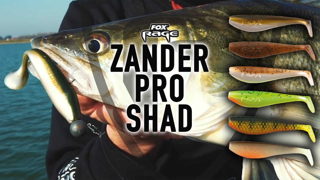 ZANDER PRO SHAD | Fox RAGE | Piotr Piskorski