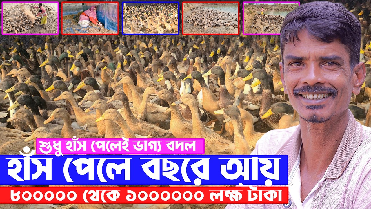 শুধু হাস পেলে বছরে আয় করছেন ৮০০০০০ থেকে ১০০০০০০ লক্ষ টাকা | সফল হাঁস খামারী | Soha Agro - সোহা এগ্রো