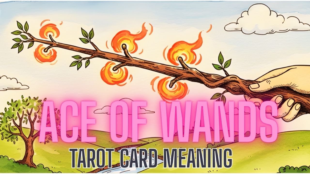 How to Read Tarot: The Ace of Wands Tarot Card Meaning