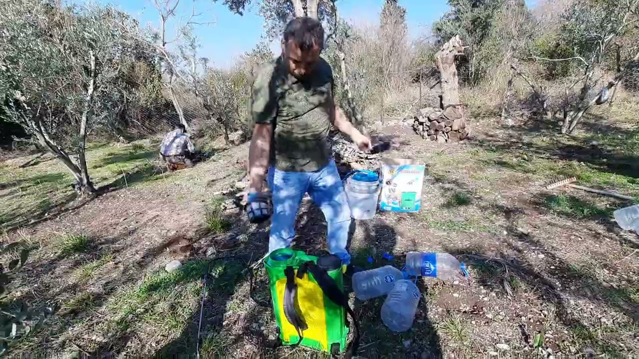 ZEYTİN BUDAMA SONRASI BORDO BULAMAÇ SIKMA HAZIRLIĞI#kesfet#zeytin#doğa#gezilecekyerler#köy#manzara#