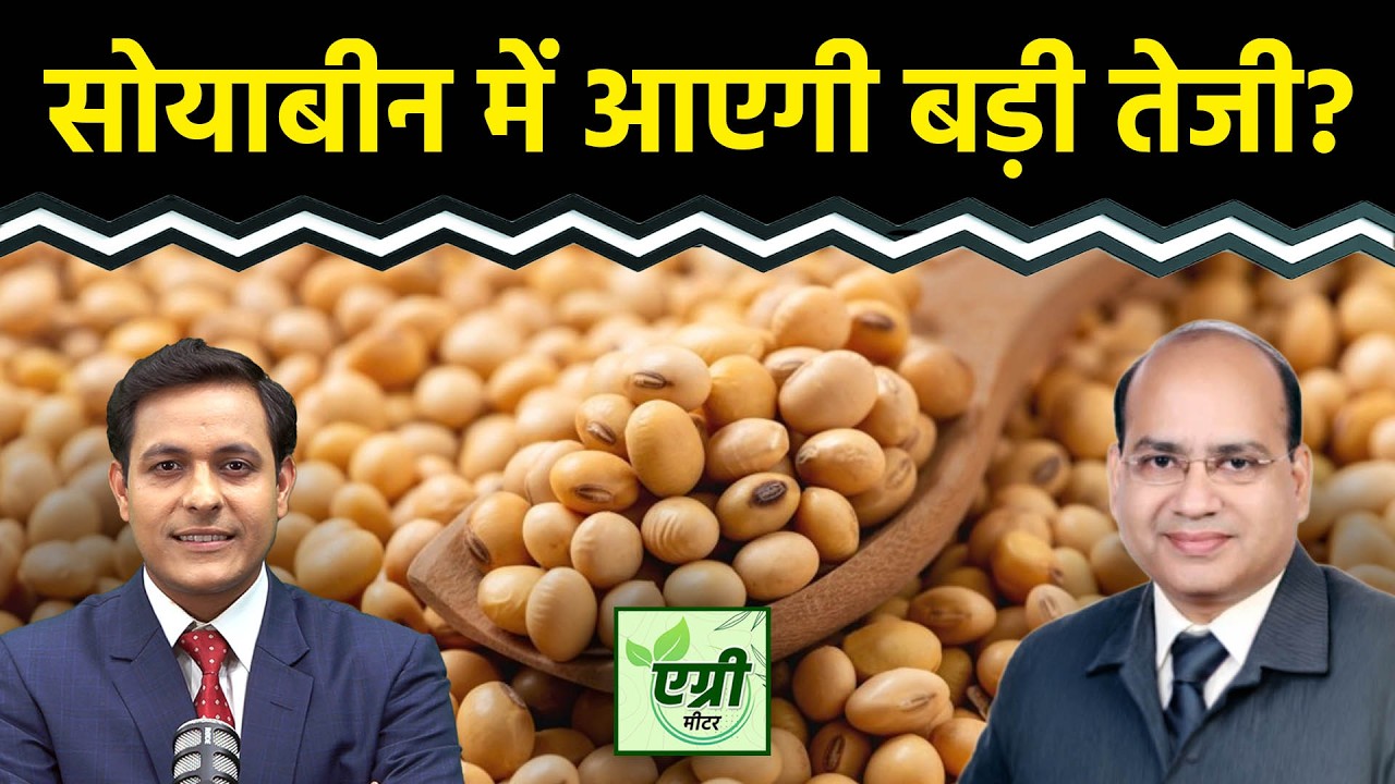 Agri Commodity : शॉर्ट टर्म में क्या है सोयाबीन की कीमतों का क्या है आउटलुक? Commodity Market