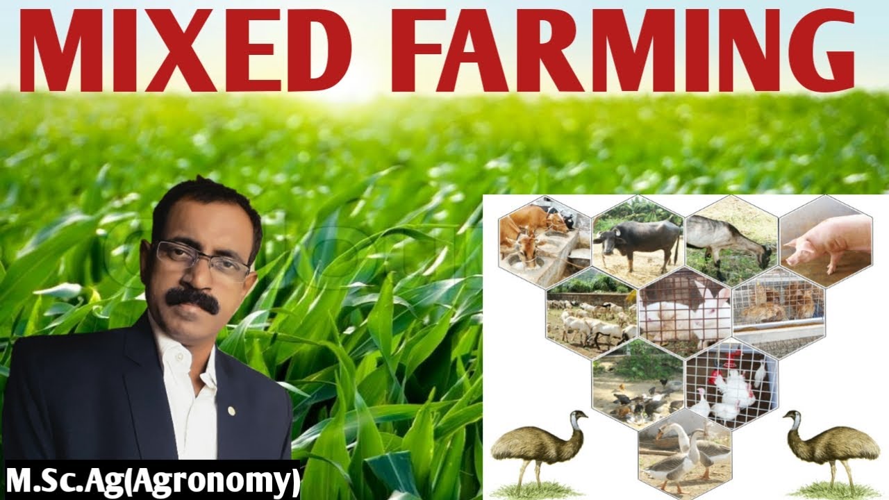 MIXED FARMING