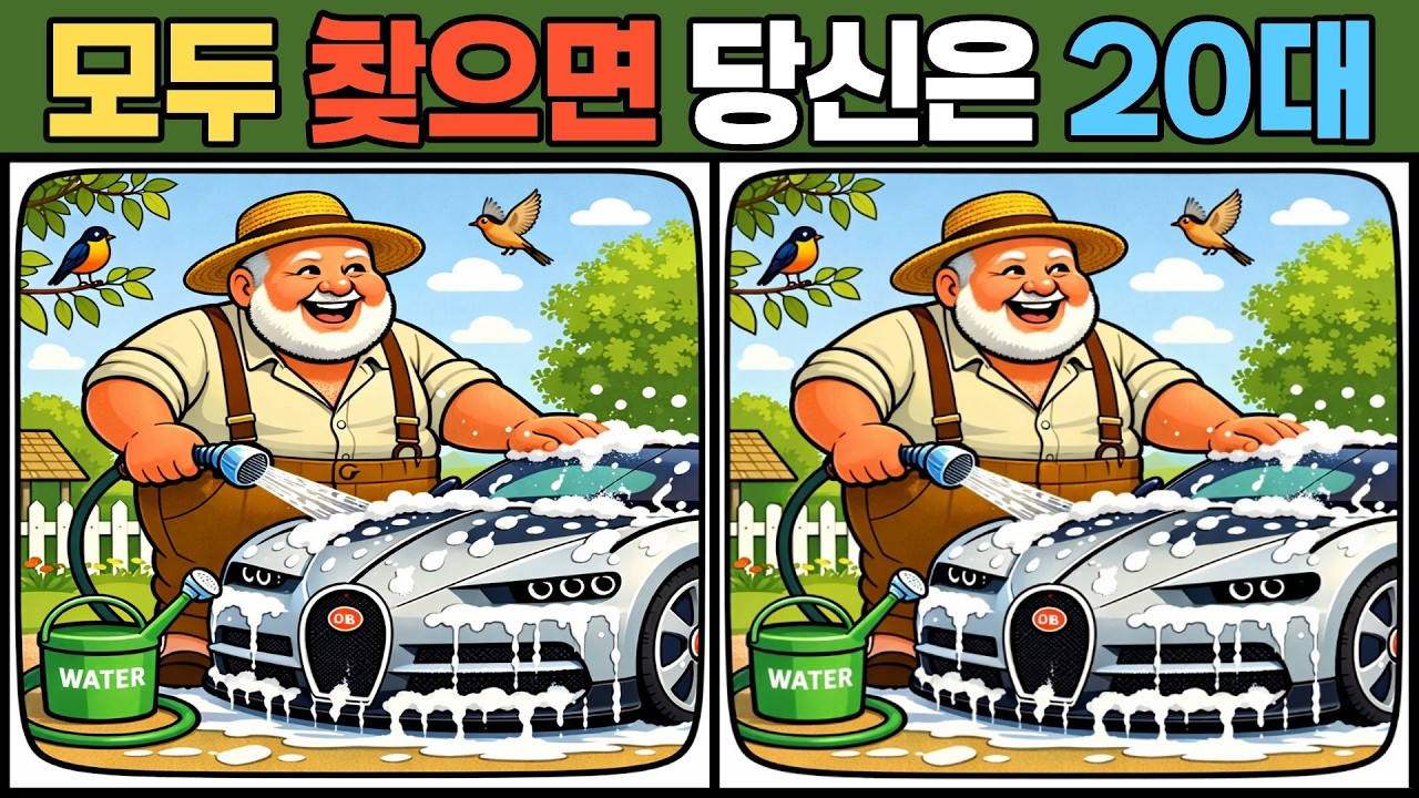 【다른그림찾기/치매예방】99%는 한곳을 못찾습니다【틀린그림찾기/두뇌운동/Find Difference/#0243]