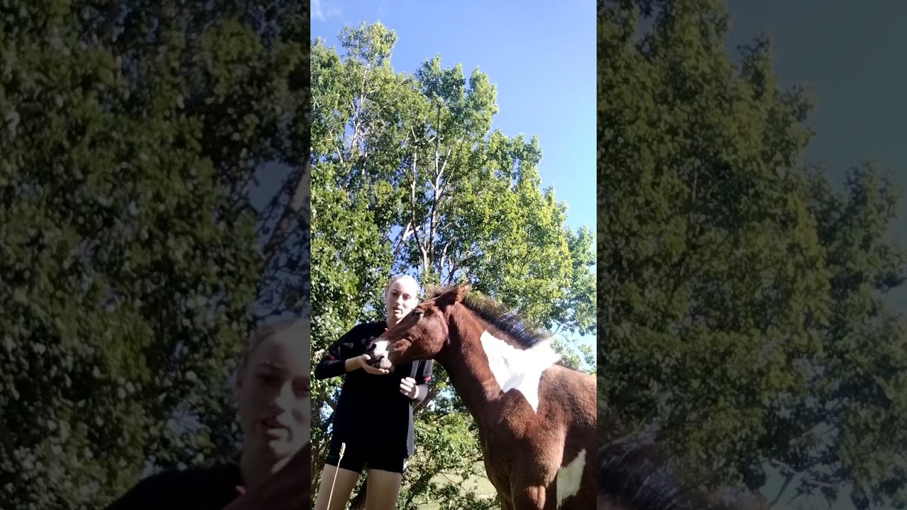 introduction to Teddy. VOLUME UP