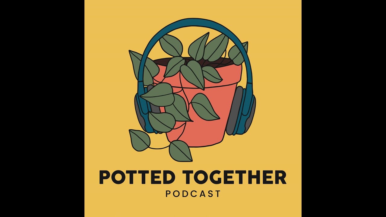 Expensive Plants Worth Their Price