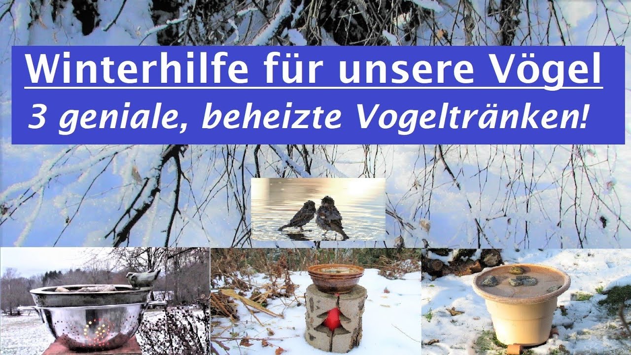 Vogelhilfe im Winter: 3 geniale, beheizte Vogeltränken ( winter aid for birds: heated bird baths)