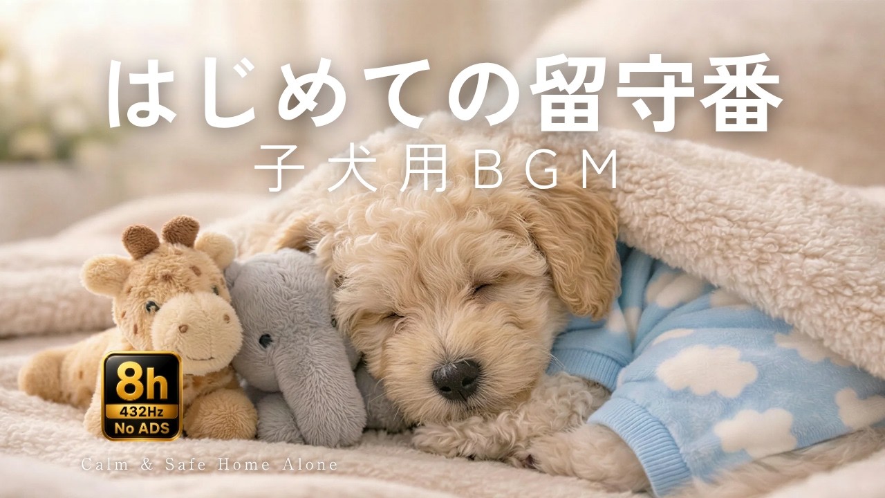 昼の留守番にそっと寄り添う｜分離不安の犬用BGM｜落ち着いた安心時間｜8時間｜Dog Music for Separation Anxiety｜Calm Home Alone Day｜8 Hours