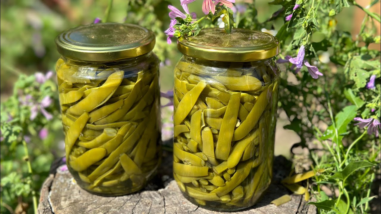 Canning green beans - стерилизиран зелен фасул - taze fasülye konservesi