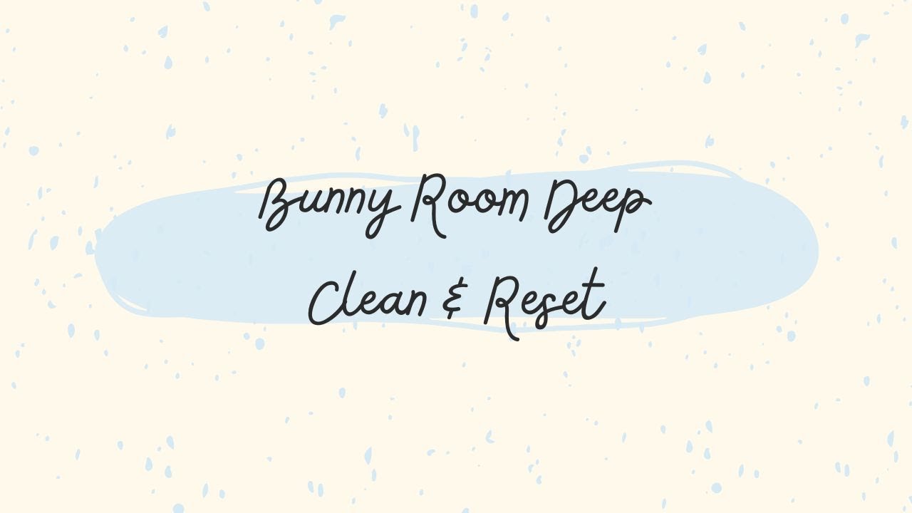 Bunny Room | Deep Clean & Reset