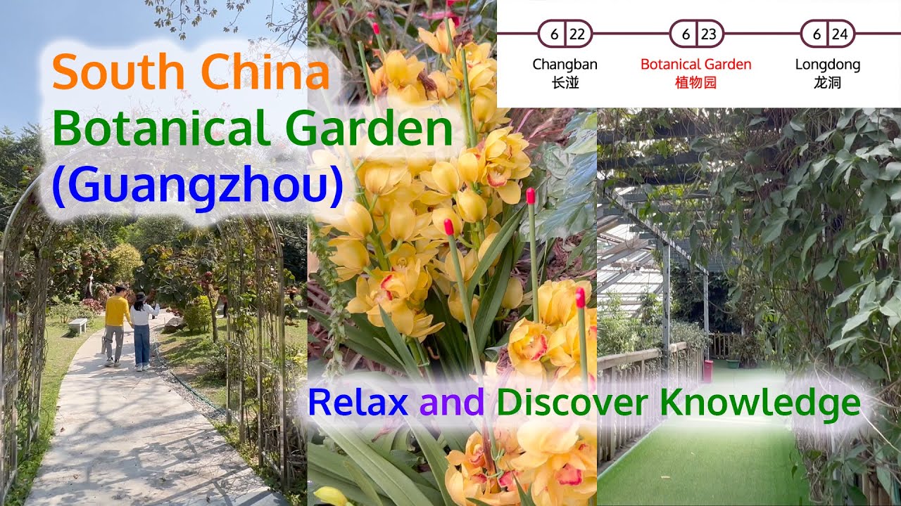 Day📆 in my Life in South China Botanical Garden🪴 (Guangzhou) | Relax✨ and Discover Knowledge🎓